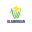 Glamorgan Flag