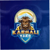 Team logo